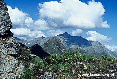 Kaukaz