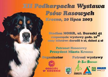 Wystawa Psw Rasowych