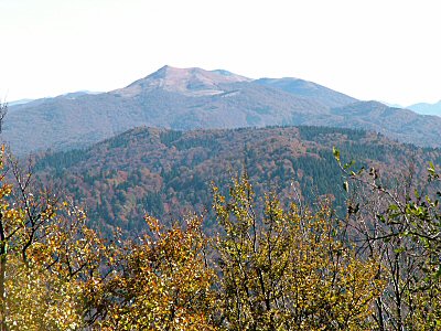 Wystawa