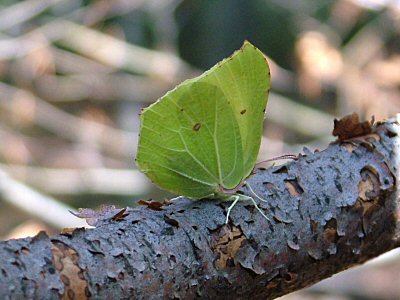 Wystawa