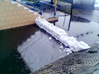 Powd