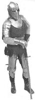 Rycerz