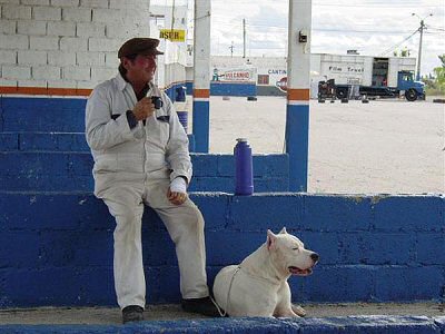 Bombn - El perro