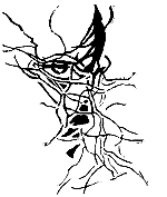 Climatyczne logo