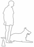 Obedience