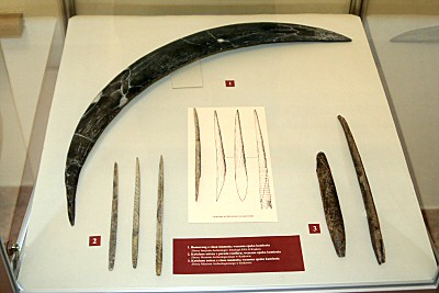 Wystawa broni