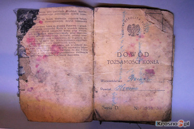 Szwarc, mydo i powido