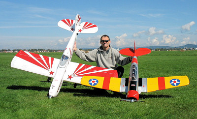 Piknik modelarski