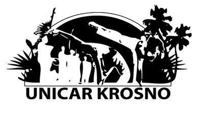 Capoeira Krosno