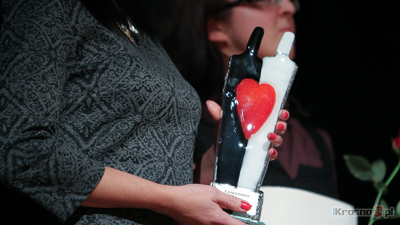 Zasuony dla wolontariatu 2014