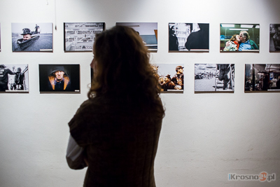 Street Dogs of Poland