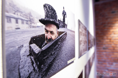 Street Dogs of Poland