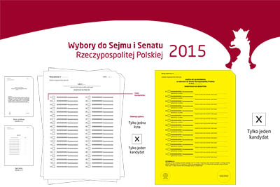 Wybory 2015