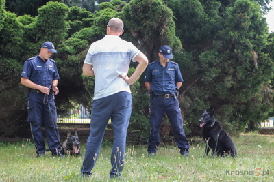 Psy w Policji