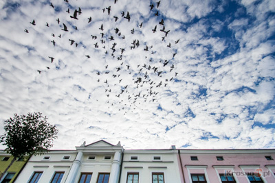 Tydzie architektury