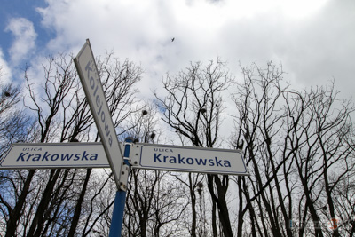 ulica Krakowska