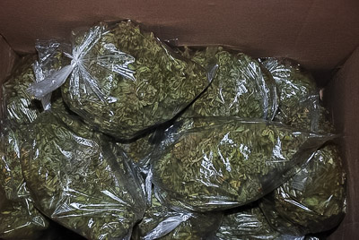 Marihuana