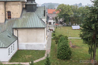 Kury, kaczki