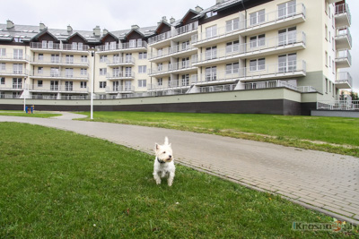Wasze Sprawy