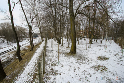 Park