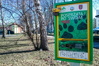 Sprztanie po psie