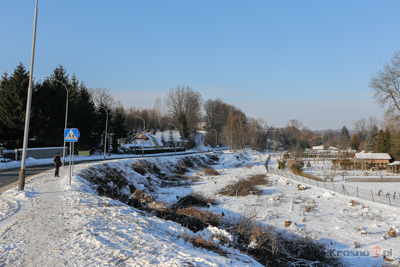 Wycinka